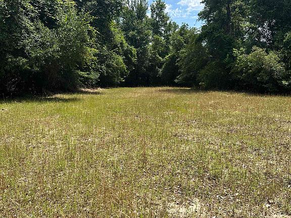 4th image of 0 Styx River Rd