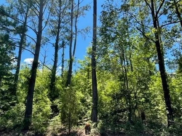 0 Winding Way Blvd, Georgetown, GA 39854