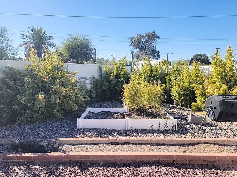 Garden Area