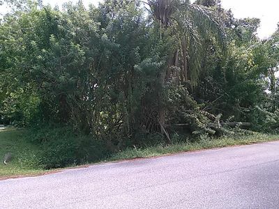 Olympia Rd., Venice, FL, 34293