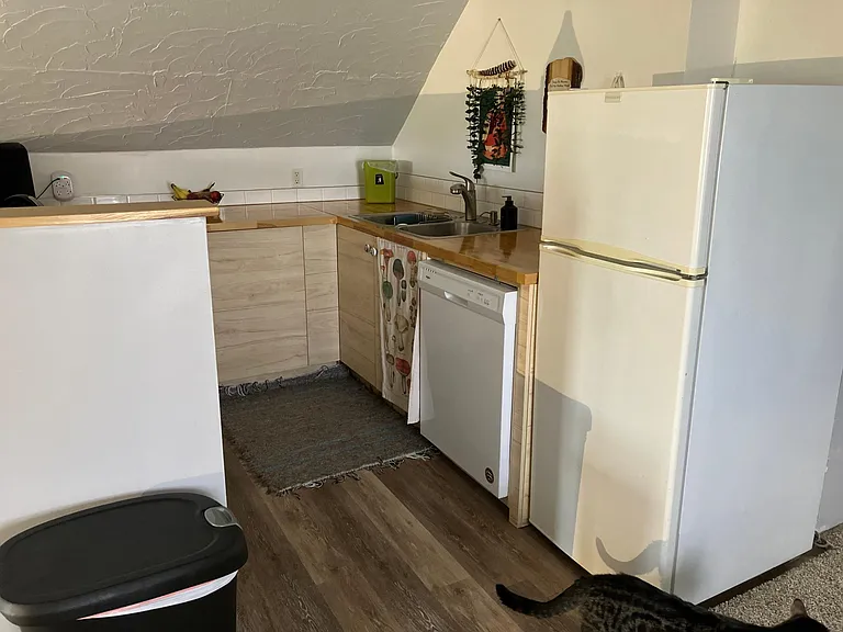 Recently renovated kitchen, with dishwasher and gas stove