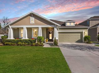 4919 Lakeshore Oaks Ct, Tampa, FL 33624