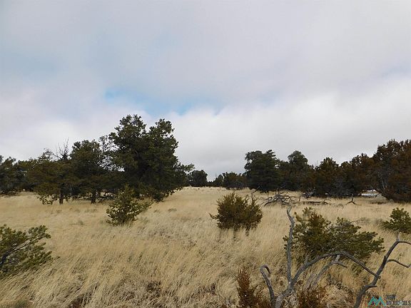 5th image of 126 Pinon Trails Loop