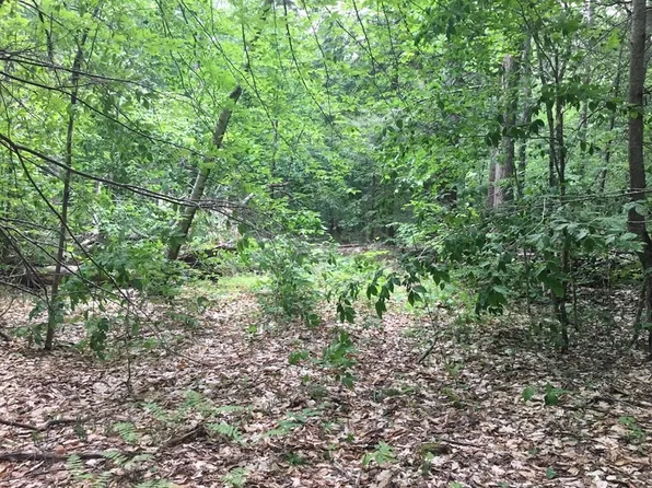 LOT 4 Bissell Rd, Chesterfield, MA 01012