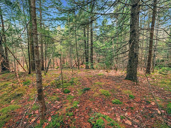 3rd image of 0 Swamp Road