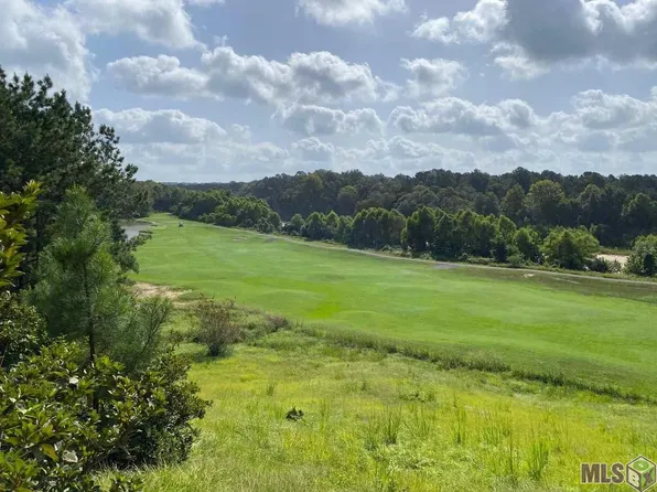 14171 Audubon Trce, Saint Francisville, LA 70775