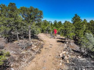 385 Cedar Ln, Cotopaxi, CO 81223