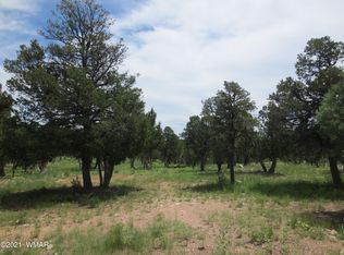 2971 Lodgepole Rd, Overgaard, AZ 85933
