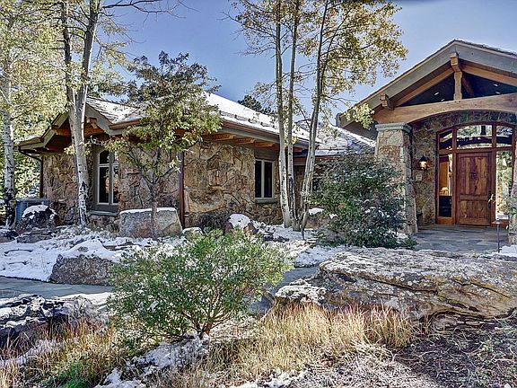 Luxury Mountain Chalet 

