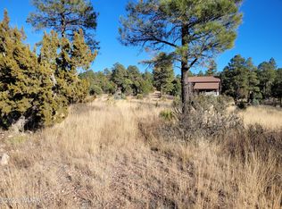 2791 Skyhawk Dr, Overgaard, AZ 85933