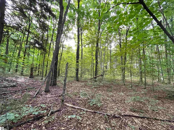 0 Langs Ln, Interlochen, MI 49643