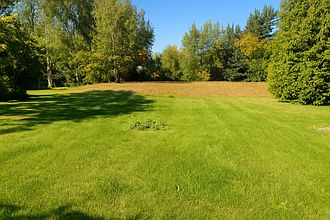 Nice large back yard.