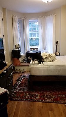 1st image of 64 Saint James Pl APT 3