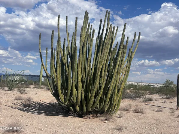 810 W RASMUSSEN Road #'-', Ajo, AZ 85321