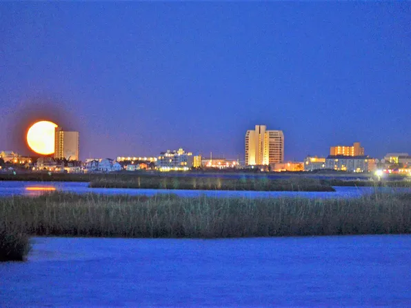 8500 Coastal Hwy Unit 1207, Ocean City, MD 21842