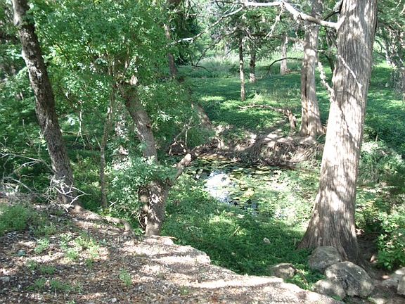 Year round pond on the lot.