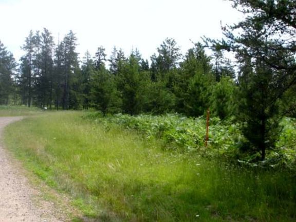 4th image of Lot 1 YUKON TRL