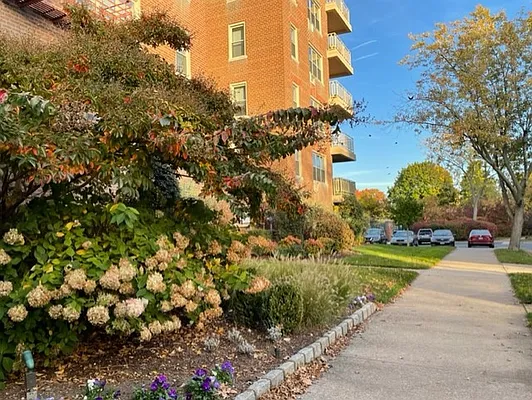 Sold by Douglas Elliman | media 1
