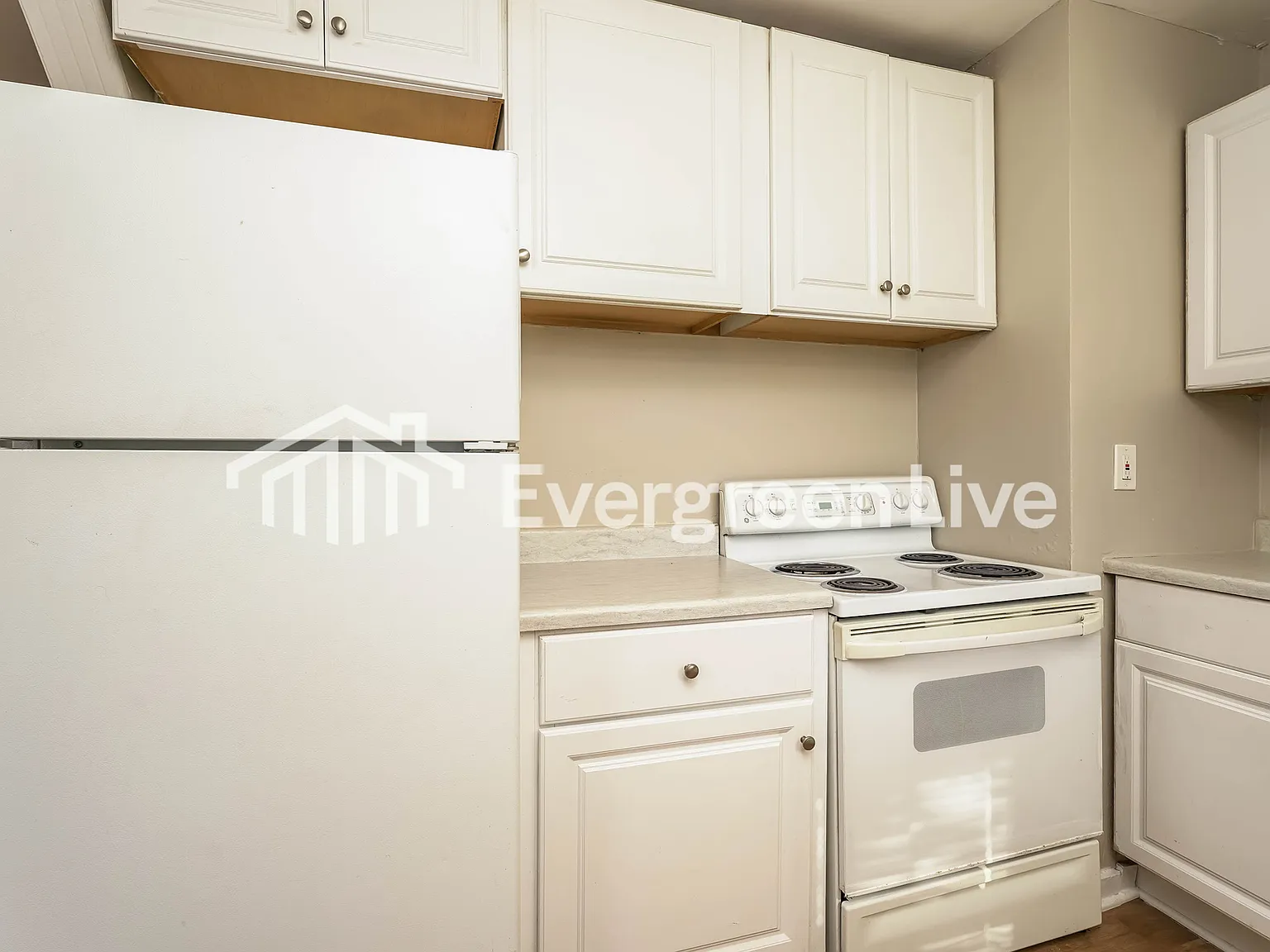 3 bed, 1.0 bath, 1100 sqft, $1,295 — Photo 3