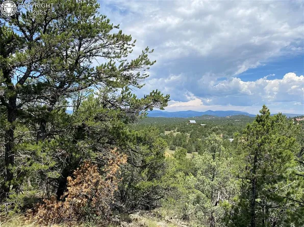 236 Marion Ln, Cotopaxi, CO 81223