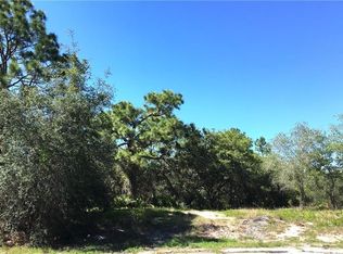 417 Saint Johns Ln, Kissimmee, FL 34759