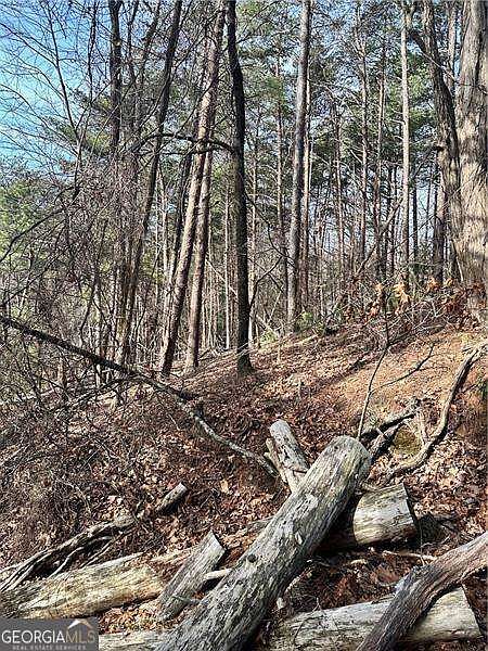 1st image of 0 Long Swamp Dr