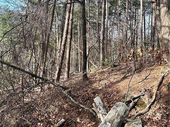 0 Long Swamp Dr, Jasper, GA 30143