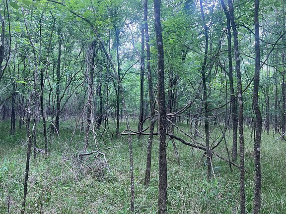 3rd image of 0 Wilderness Rd