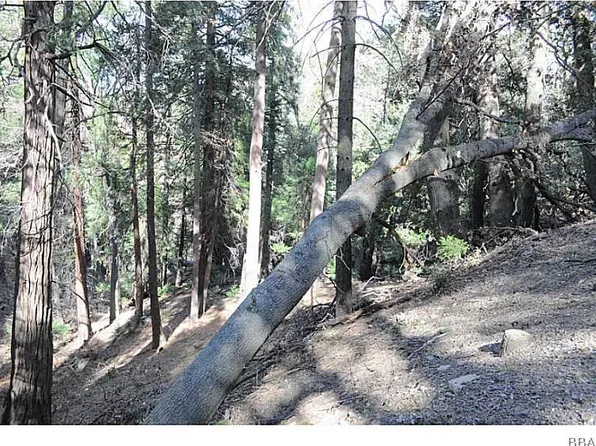 987 Mojave River Rd, Cedarpines Park, CA 92322