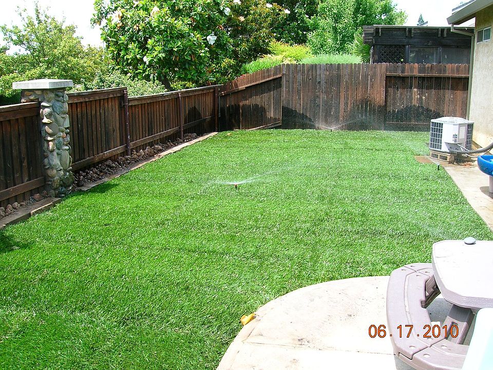 Back yard 