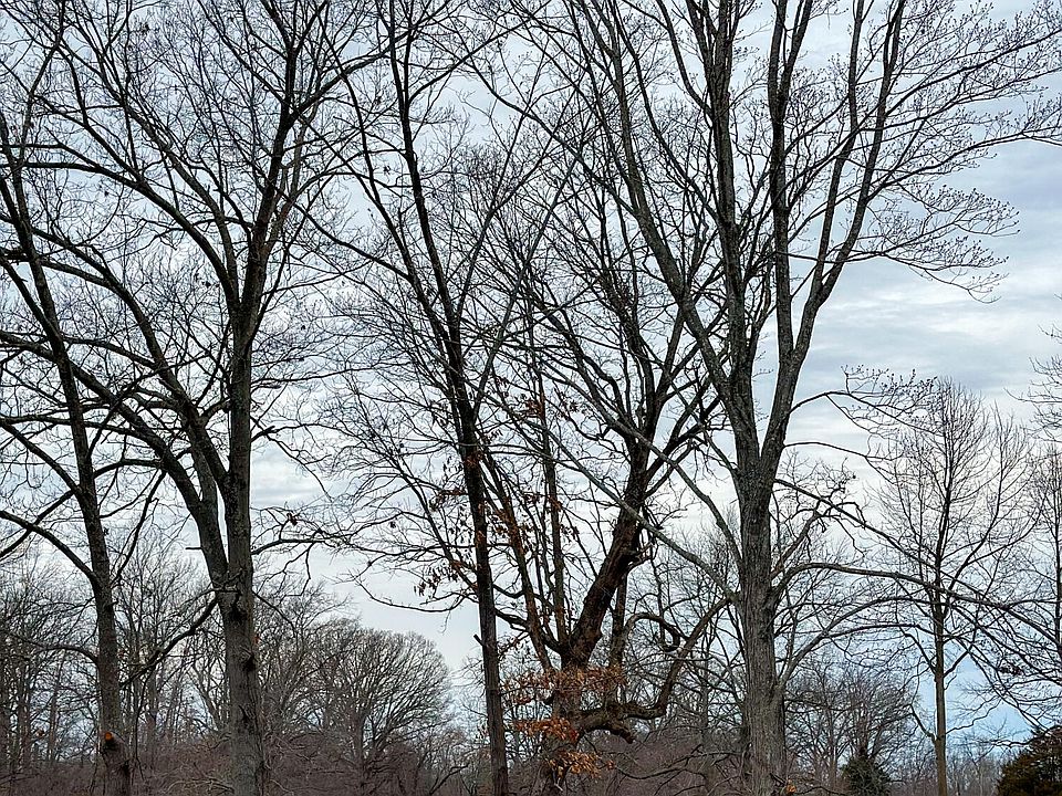 2nd image of 498 Elliston Rd