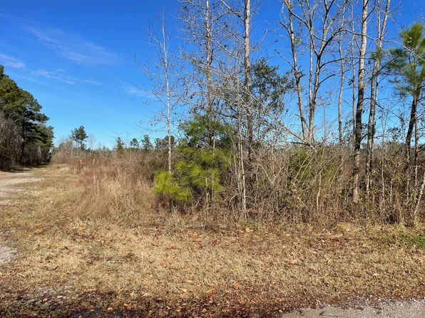 1 Dotson St, Harleyville, SC 29448