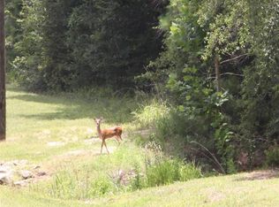 7219 Racehorse Dr, Waller, TX 77484