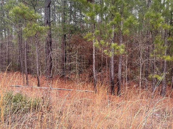 5th image of Lot 6 & 7 Bumpy Lane
