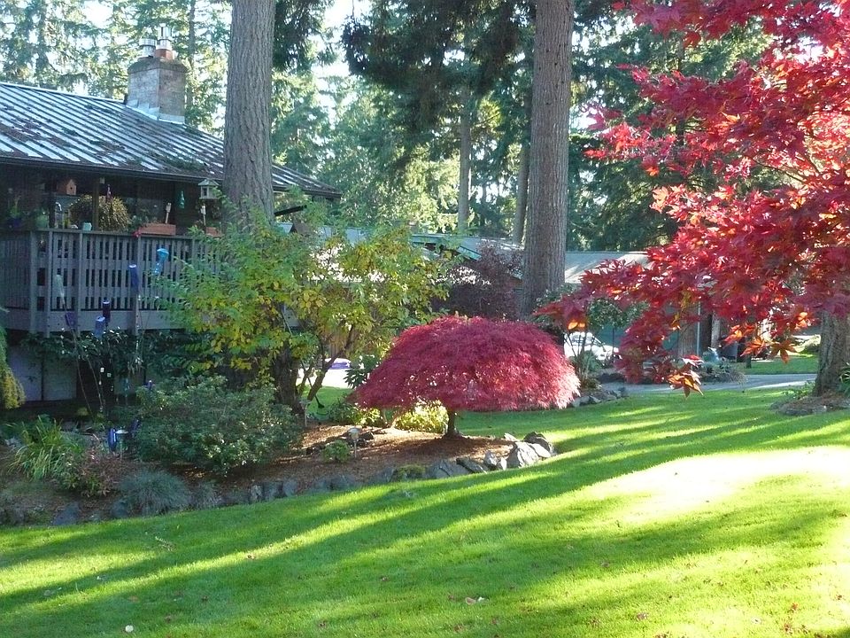 Front Lawn
