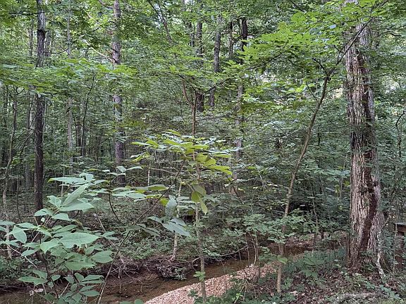 3rd image of 1556 Hopkins Rd