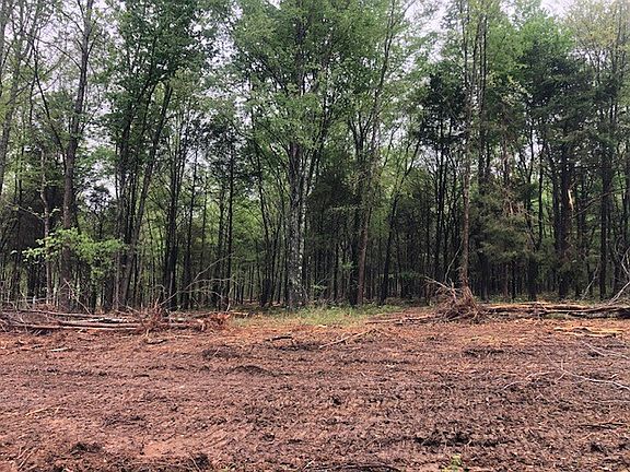 4th image of 7910 Bill Moss Rd