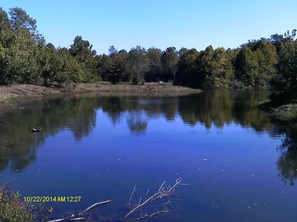 0 Drewry Rd, Monroeville, AL 36460