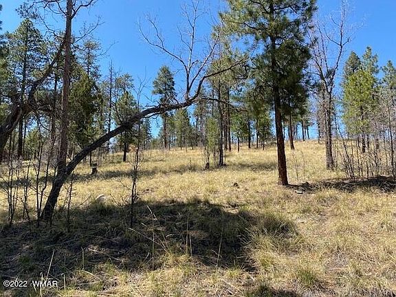 2nd image of 0 County Road 2191 Lot 41