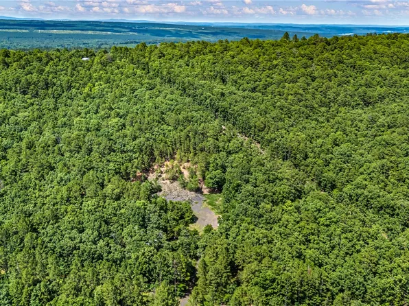 Nichols Ln, Delaware, AR 72835