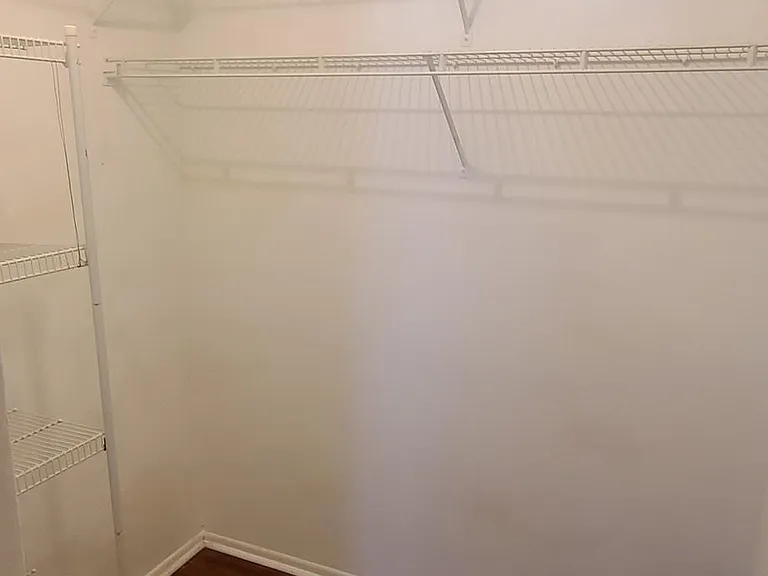 Master Closet Walk in