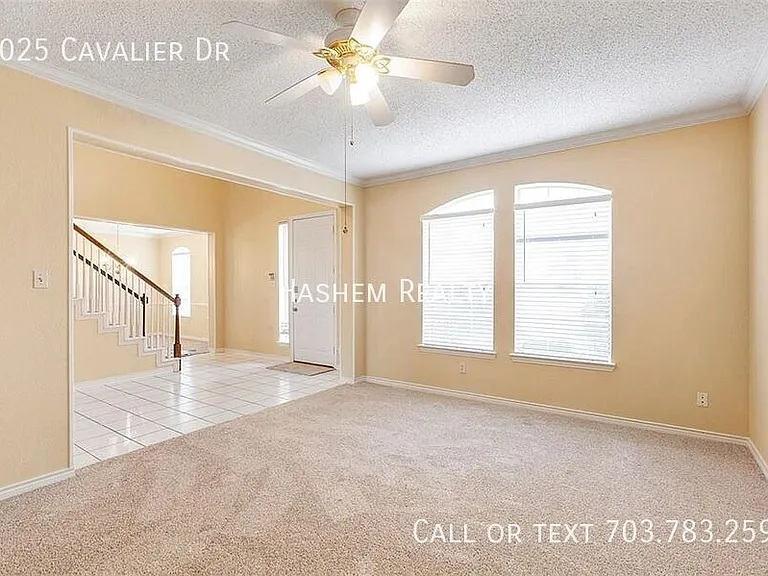 8025 Cavalier Dr — Photo 12
