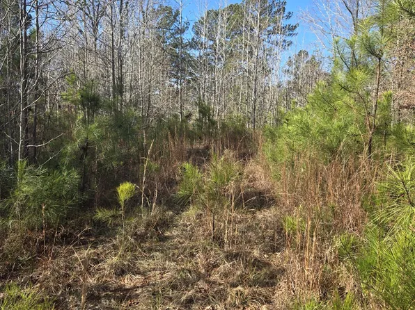 0 Outrigger Drive, Lincolnton, GA 30817