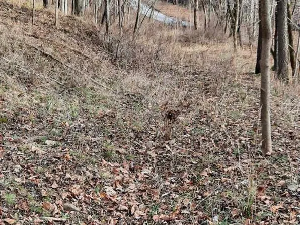 0 Myers Hollow Rd, Ripley, OH 45167