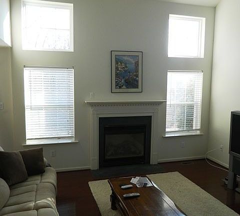 Vaulted Fireside Living Room