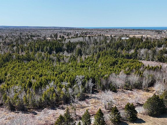 3rd image of LOT 2 Marc Comeau Rd