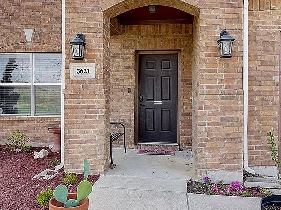 Picture 3