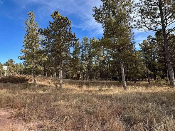 LOT 9 Argyle Rd, Hot Springs, SD 57747