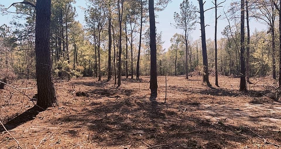 2nd image of Barth Rd