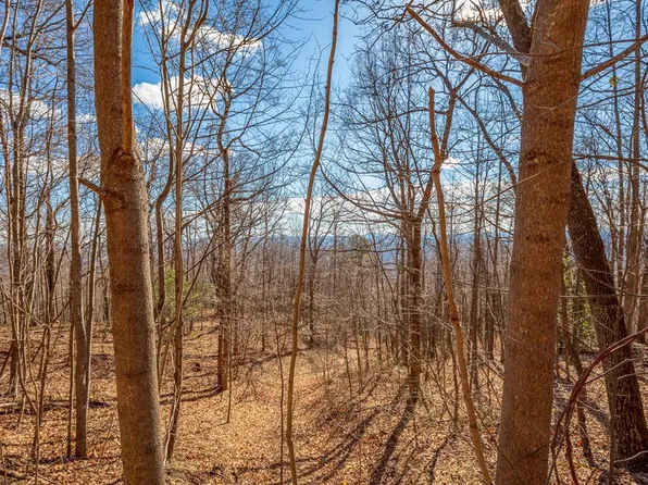 124 Spring Pond Trl, Fancy Gap, VA 24328